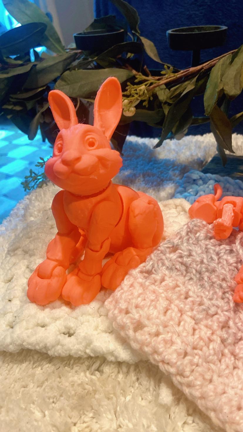 3D Printed Bunny